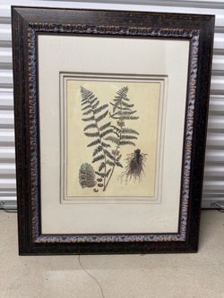 Framed Botanical Fern Print