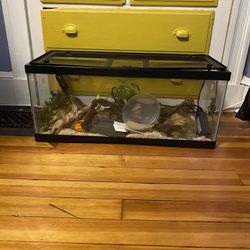 20 Gallon Tank