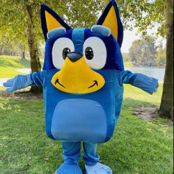 Bluey Costume