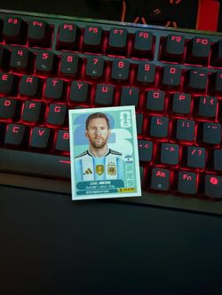 Panini FiFA Wolrd Cup Stickers