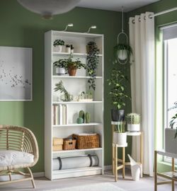 Ikea Billy Bookcase