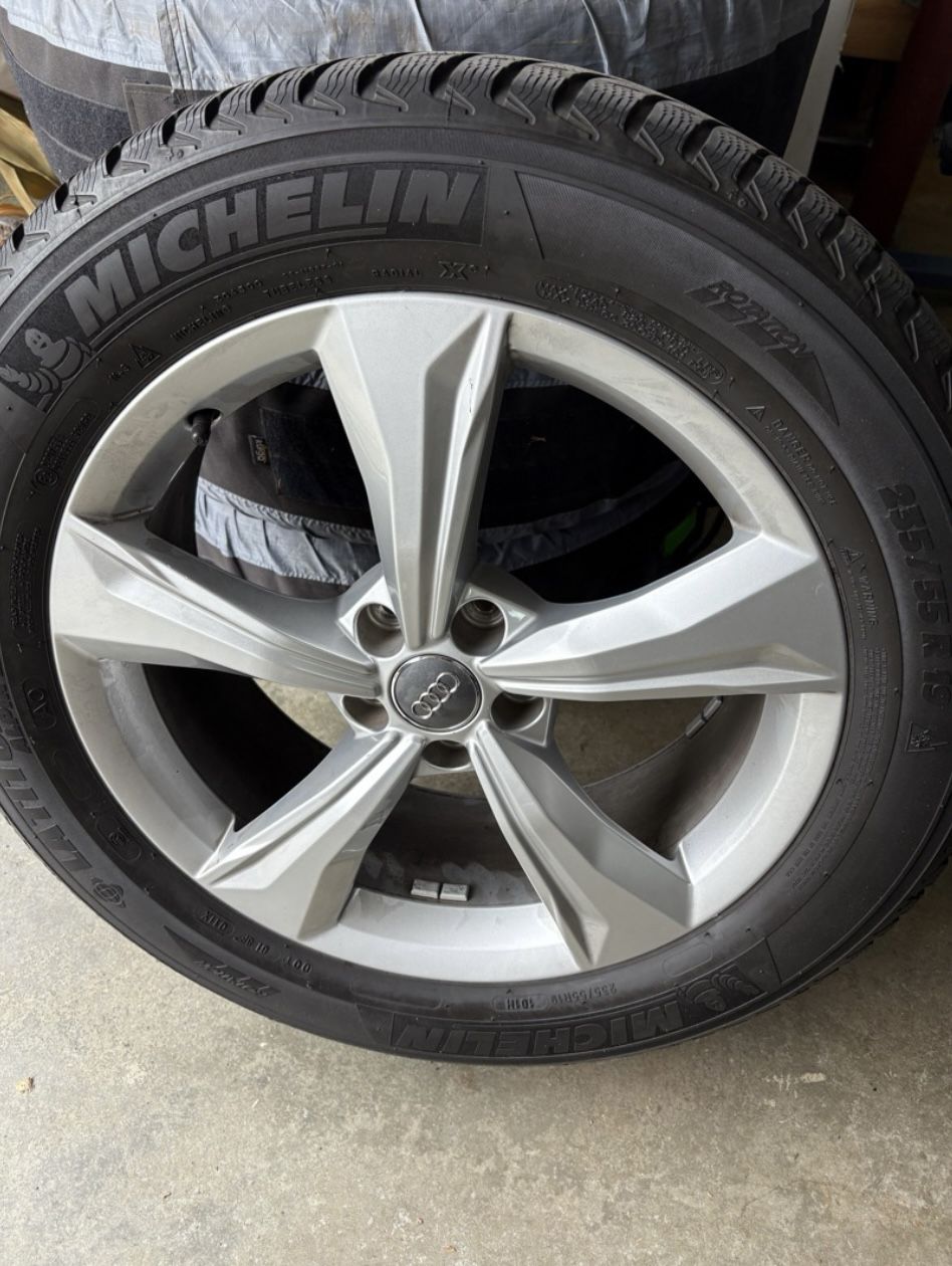 OEM Audi Q3/Q5 Wheels On Michelin 235/55 R19 Tires + Kurgo Seasonal Tire Totes