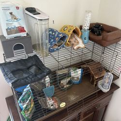 Guinea Pig Mouse Gerbil Rabbit Rat 