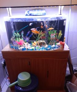 Fish tank and stand