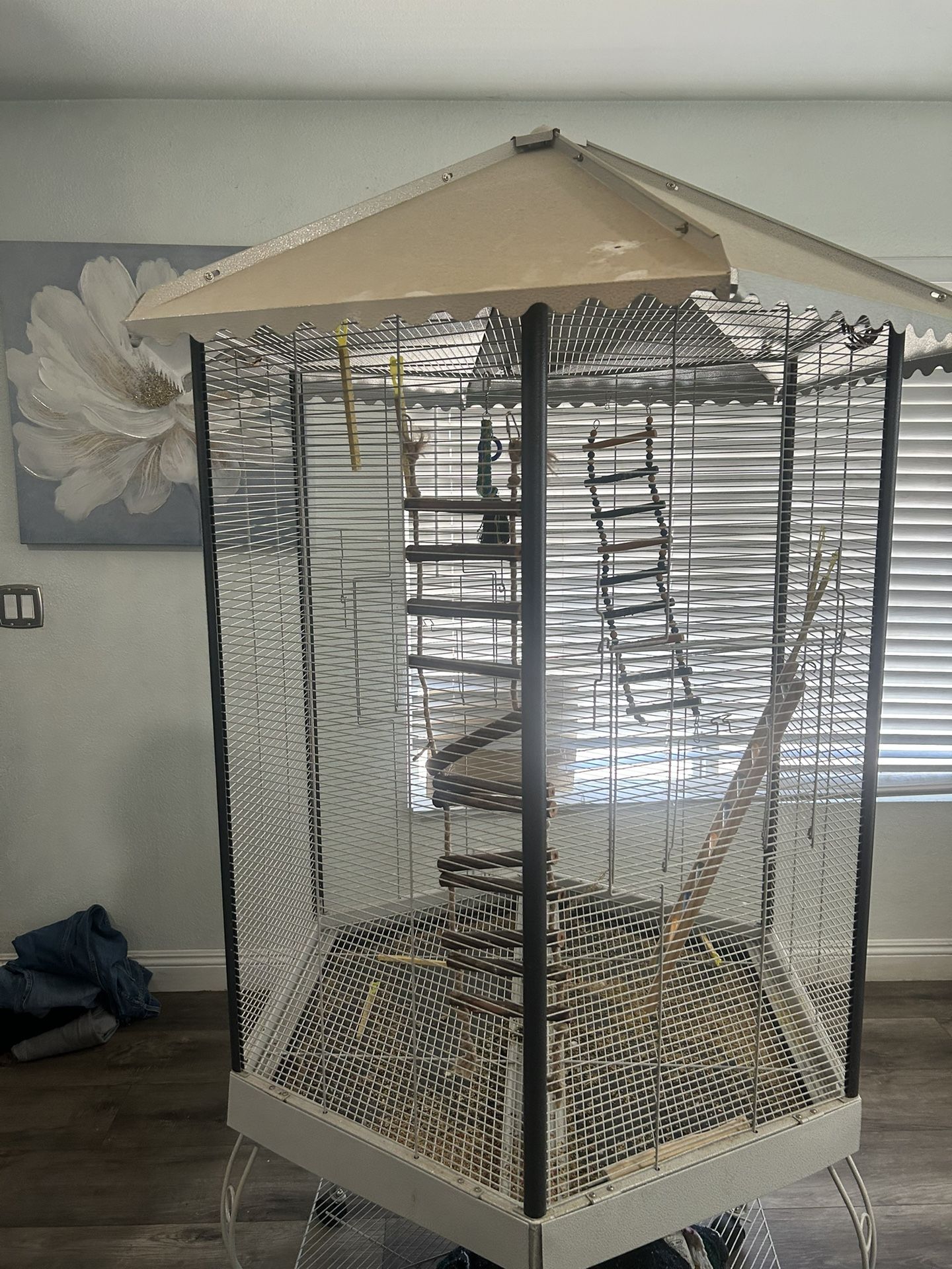 Bird Cage