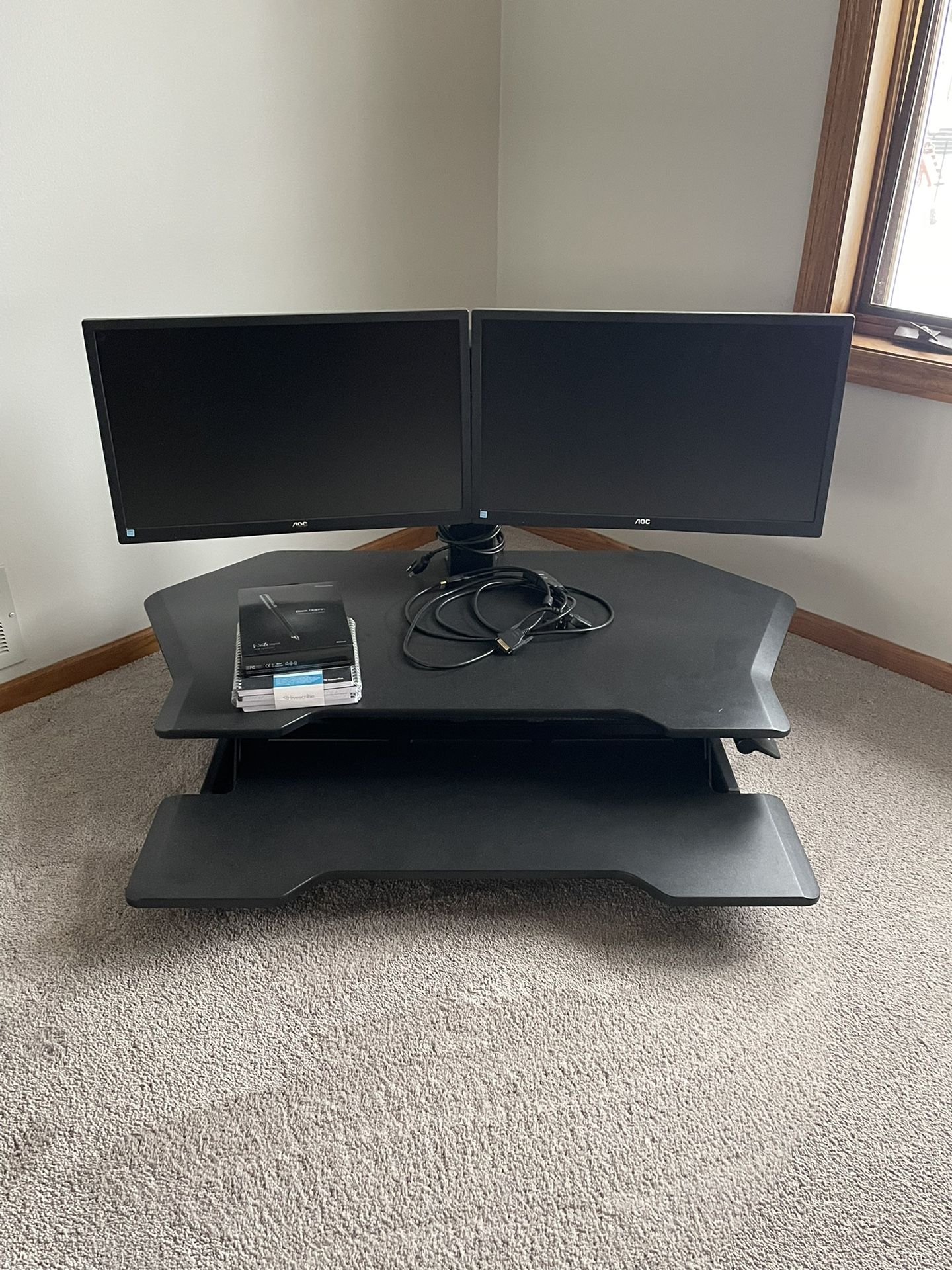 Raisable Desktop w/ Black, Dolphin, Professional Edition Live Subscriber