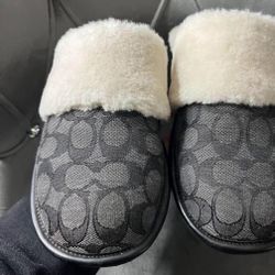 Coach Black Slippers