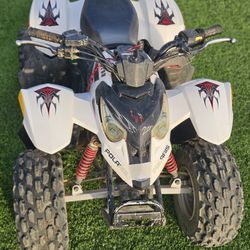 2006 Polaris Predator 50cc
