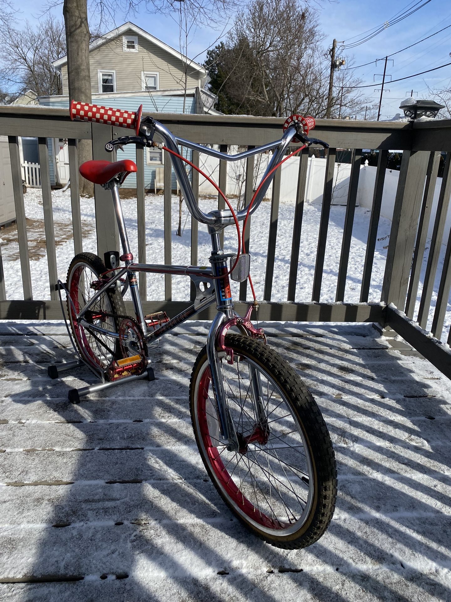 Schwinn Predator