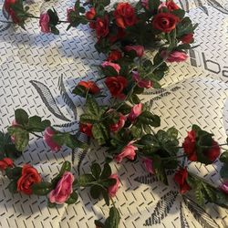 Roses For Decor