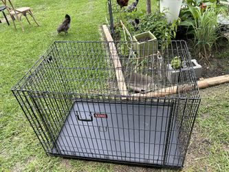 Dog Kennel