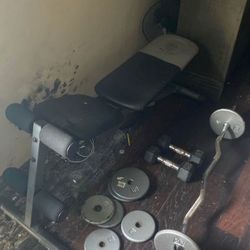 Bench Press And Z Bar 