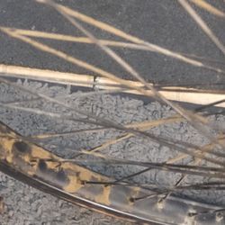 Bike Pants    20"" BMX Back Rim.. And Petals