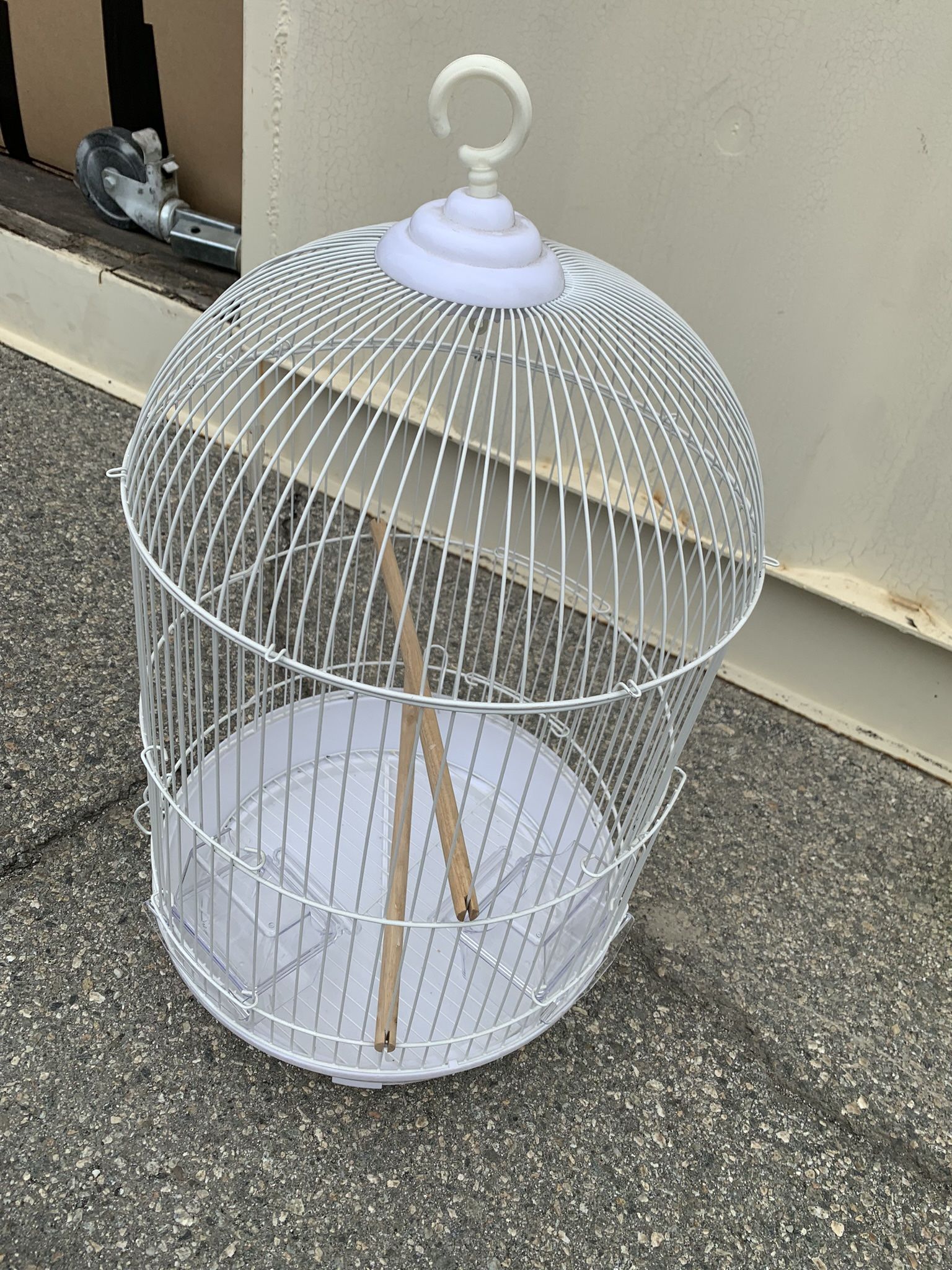 Bird Cage