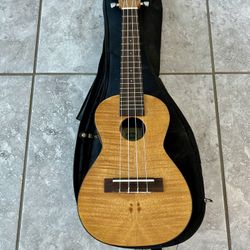 Kala KA-C Concert Ukulele + Gig Bag – Great Condition