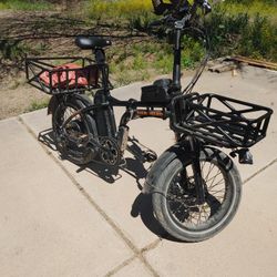 Rad Power Off Road E-Bike