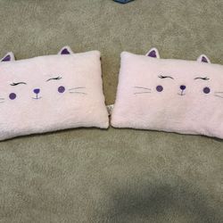Furry Cat Pillows