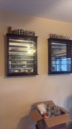 Set Of 2 Glass Collecting Cases Shot glasses