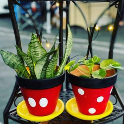 Mickey And Minnie Garden Flower Pots