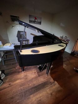 Suzuki baby grand