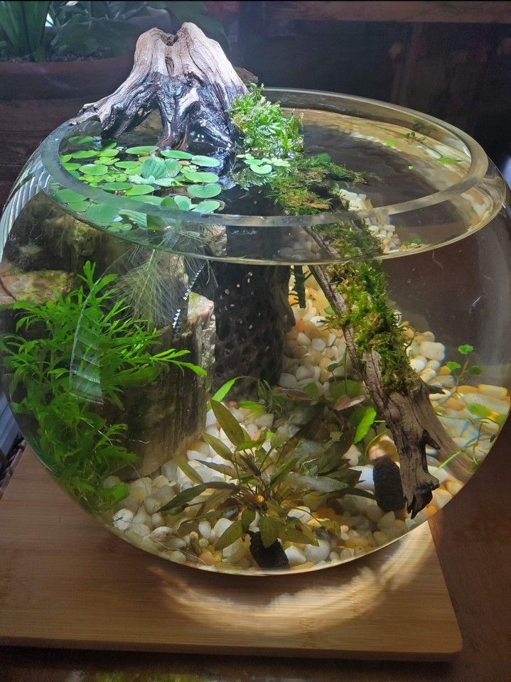 5 Gallon Bowl