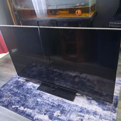 55 Inch