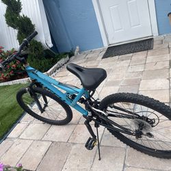 Bicycle trail runner 24 inch tall