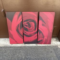 Rose Picture