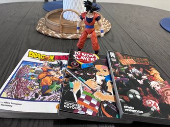 Anime manga books