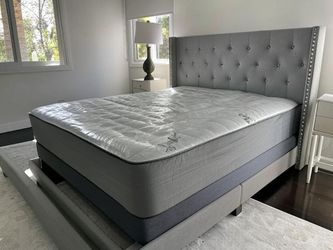 New Mattresses Needs to Go‼️