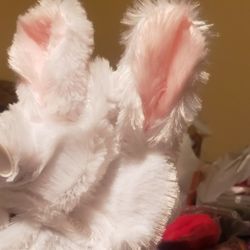Pet Costume Easter Bunny 