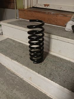 2006 Buick Rendezvous Rear Passenger Spring