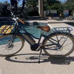 Bluejay Premium Electric Bike