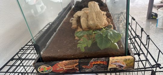 Naturalistic terrain / 25 gallon