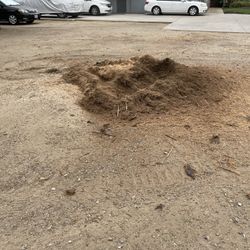 Stump Grinding