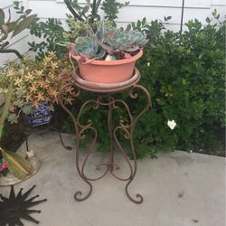 SUCCULENTS AND IRON STAND