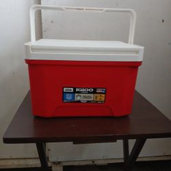 Igloo Personal Cooler