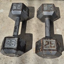 Cast Iron Dumbbells 