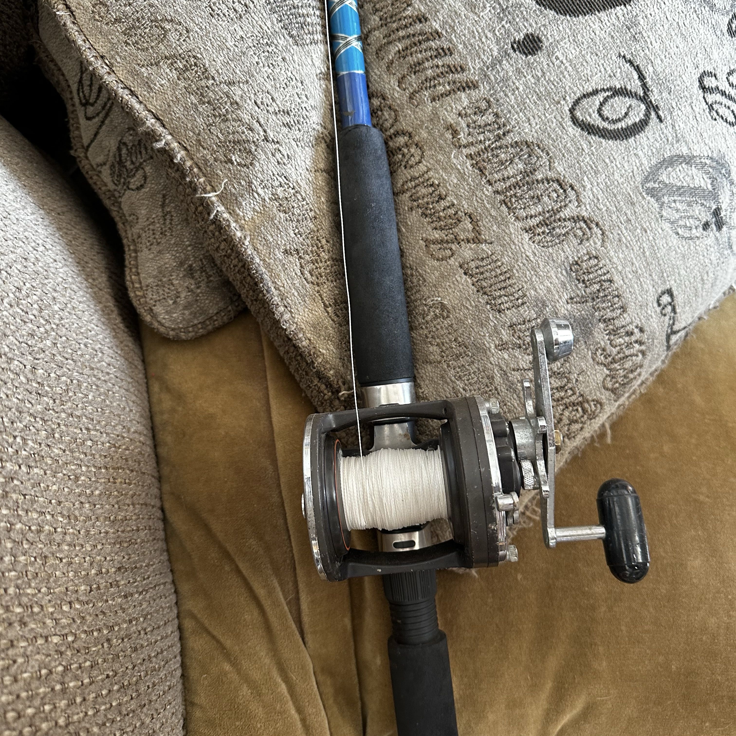 Black and Blue Fishing Rod