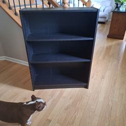 IKEA Bookcase w Adjustable Shelves