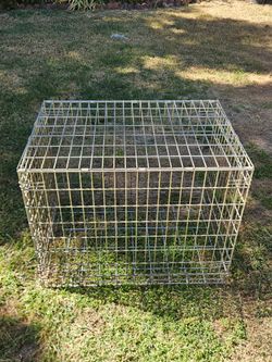 Large Wire Metal Cage