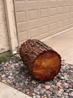 Large wood stumps