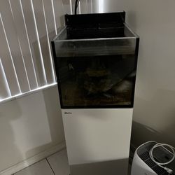Tank Fish 