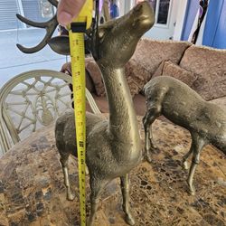 Brass Deer Pair 