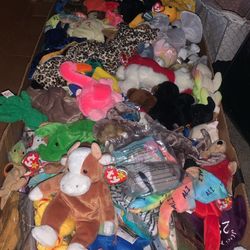 Beanie Babies All Mint Conditione