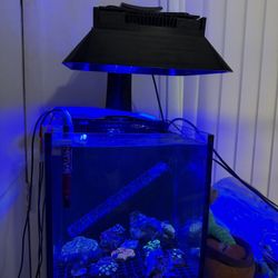 Ecotech radion Xr15 G4