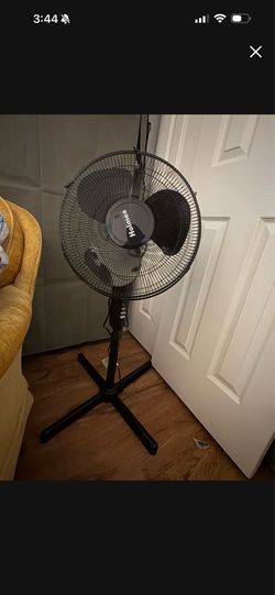 Fan