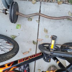 curl bar 50pd weights 