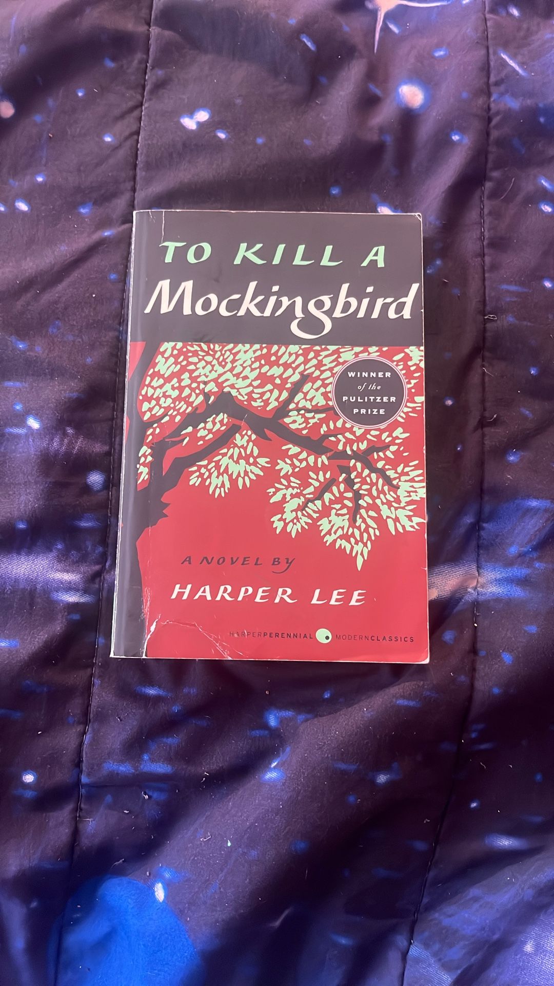 To Kill A Mockingbird by Harper Lee