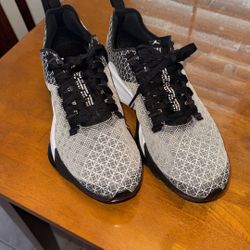 Jordan Men’s Air Zoom Renegade 